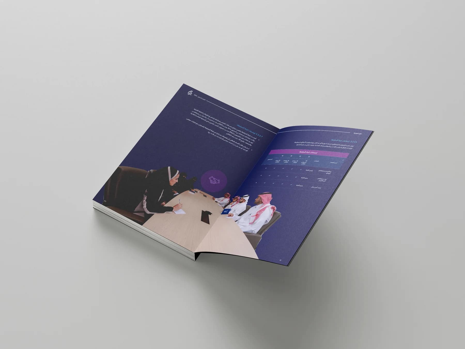صفحات البيانات